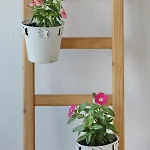 Esperides Quiet Arethousa With Amazing View * Skopelos Town