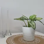 Esperides Quiet Arethousa With Amazing View *